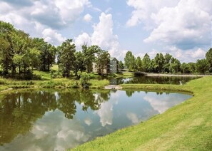 Property grounds - Super Cozy and Clean 2BD/2BA Condo! Minutes to Downtown Branson and Shopping! (Branson)