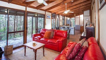 Una Smart TV, una chimenea, libros, una videoteca