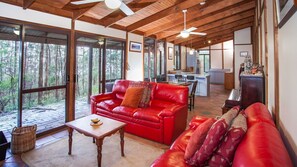 TV connectée, cheminée, livres, vidéothèque