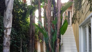 Exterior detail - 3 BEDROOM Penthouse VILLA - VIEWS POOL and OUTDOOR LOUNGE (Los Angeles)