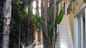 Details aan de buitenkant