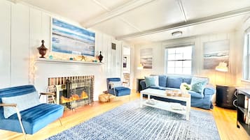 Smart TV, fireplace, books