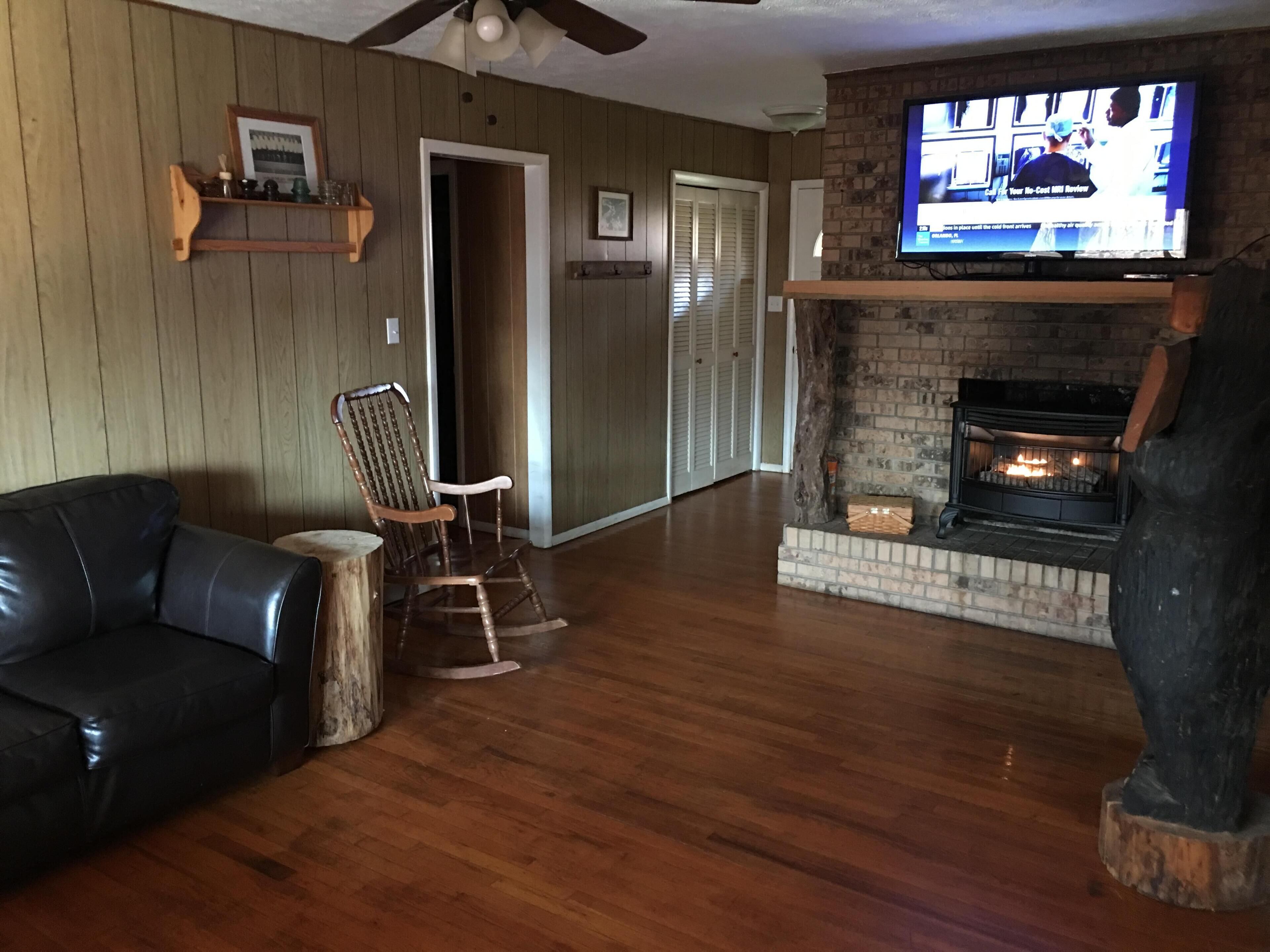 Bearidise Hot Tub, Fireplace, Near Asheville, View, Fire Pit, WiFi, Pet Friendly