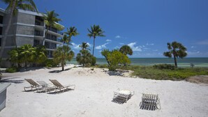 A beach with lounge chairs and palm trees, a building with balconies, and a clear blue sky. - Vibrant Island retreat, Expansive private balcony, Enjoy  the Coastal Breezes (Key West)