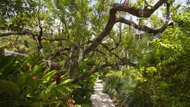 A pathway through a lush garden with various plants and trees. - Vibrant Island retreat, Expansive private balcony, Enjoy  the Coastal Breezes (Key West)