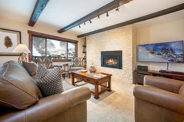 TV, fireplace, DVD player