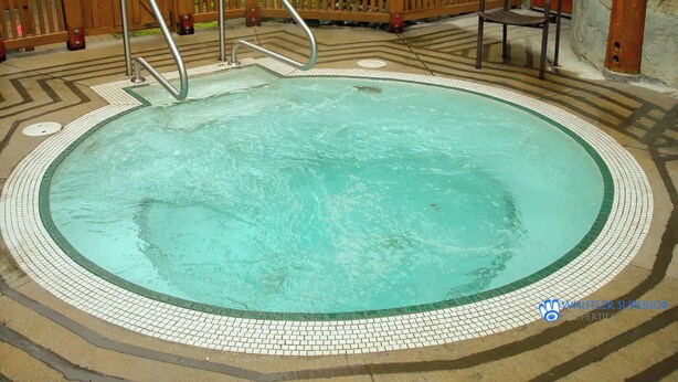 A circular pool with a tiled edge, a wooden deck, and a metal ladder.