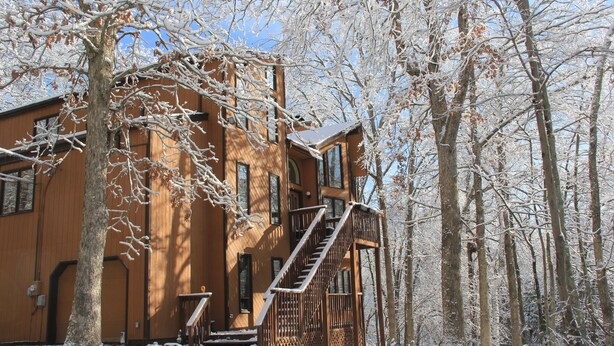 Une cabane en bois avec un escalier menant à l’entrée, entourée d’arbres couverts de neige.