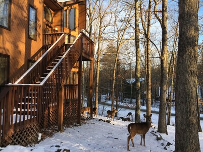 Big House On The Hill, Pocono - Vasca idromassaggio, sauna, camino