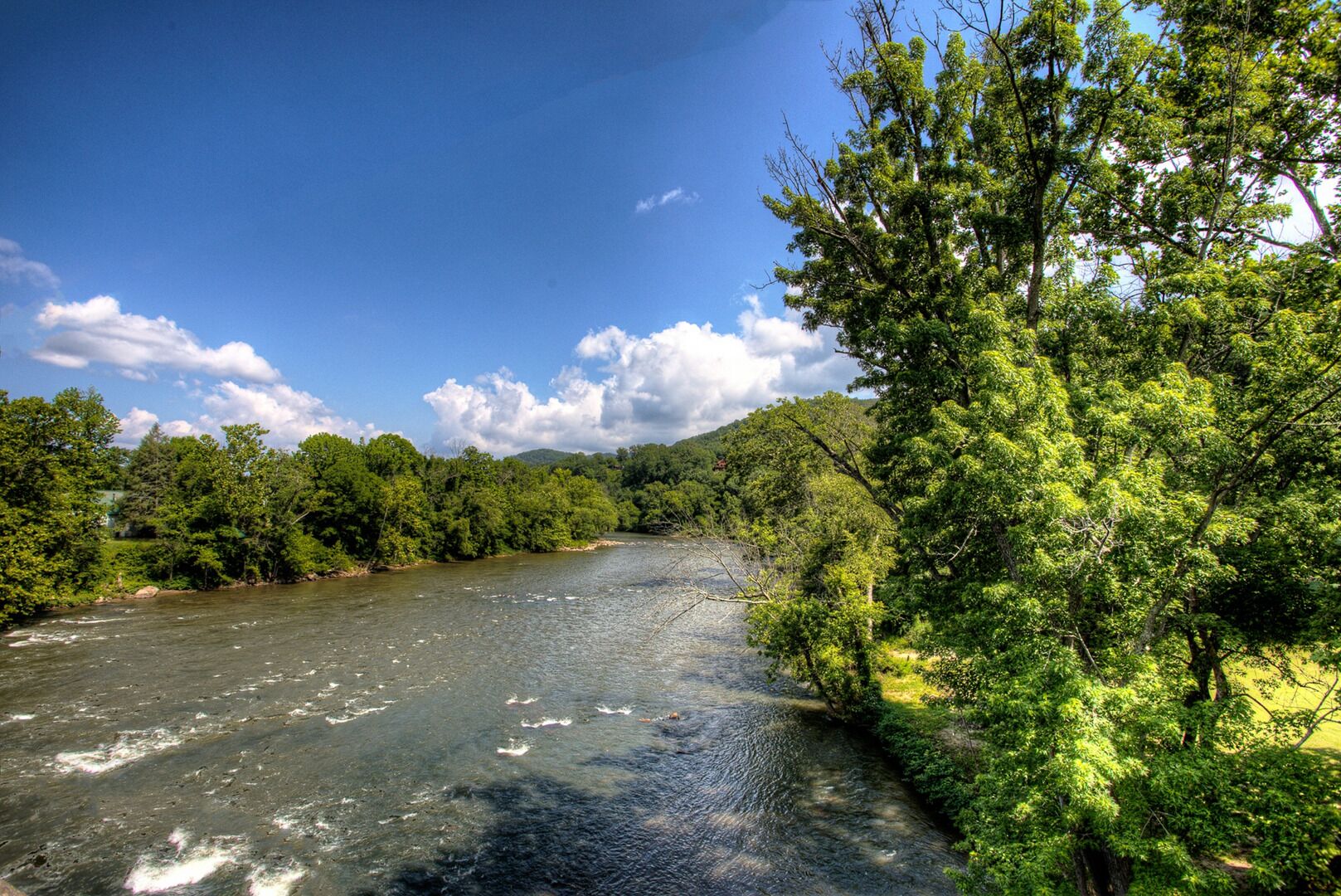 Un río serpentea por una zona boscosa y frondosa bajo un cielo despejado.