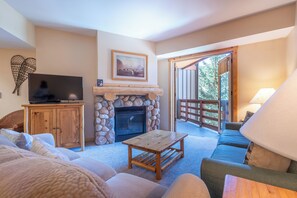 TV, fireplace, DVD player