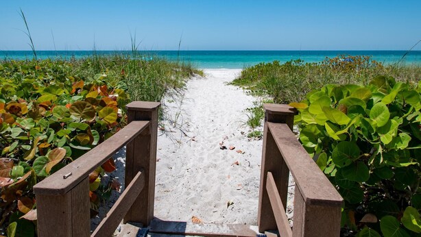 Ein Sandweg am Strand, umgeben von viel Grün, der zum Meer führt.