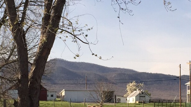 Un paysage rural avec une grange, une petite maison et un arbre au premier plan.