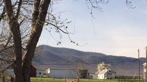 Un paysage rural avec une grange, une petite maison et un arbre au premier plan.