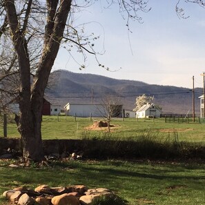 Ländliche Landschaft mit Scheune, einem kleinen Haus und einem Baum im Vordergrund.