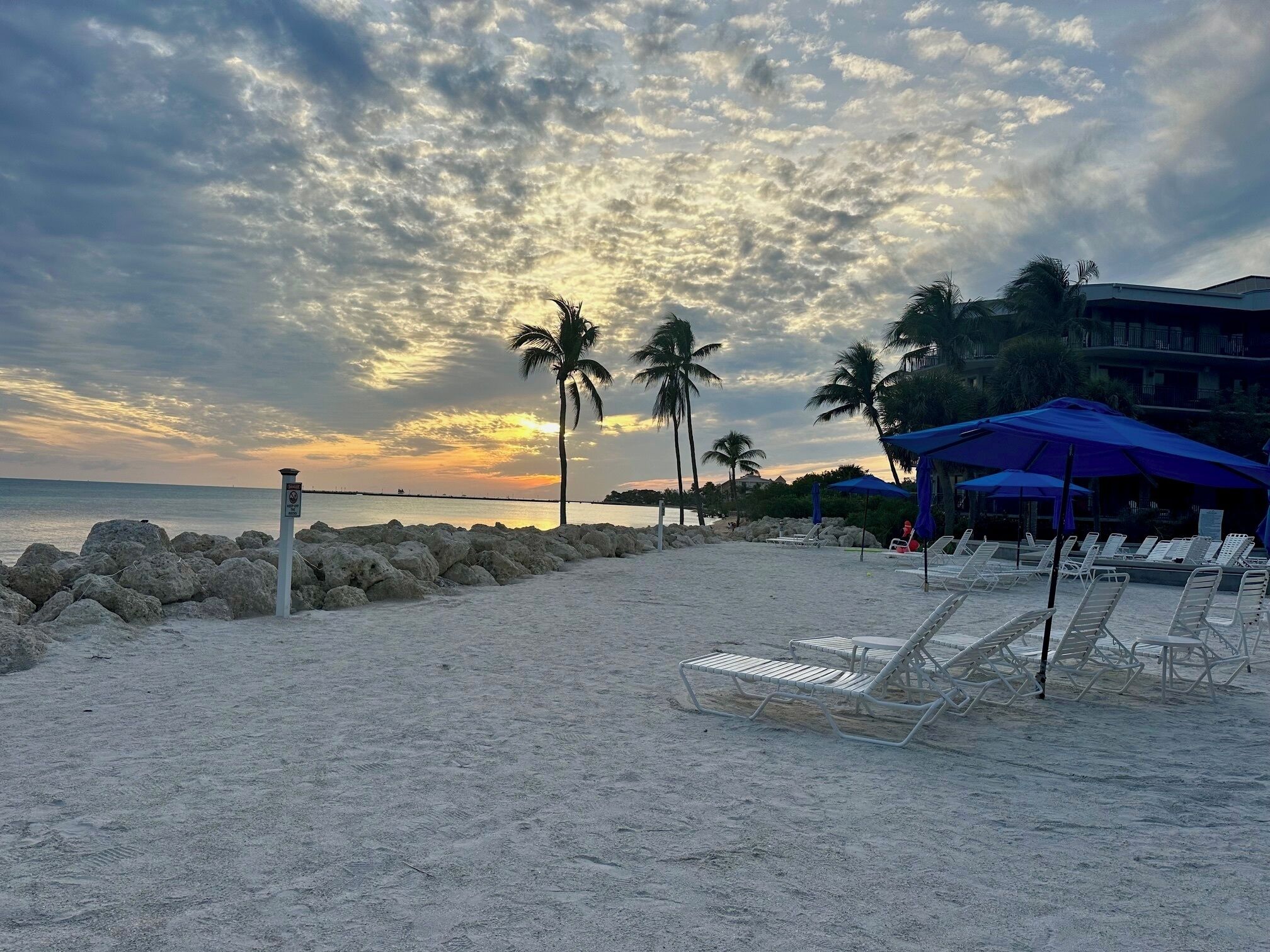 A beach with white lounge chairs, palm trees, and a building with blue awnings.
