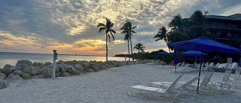 A beach with white lounge chairs, palm trees, and a building with blue awnings.