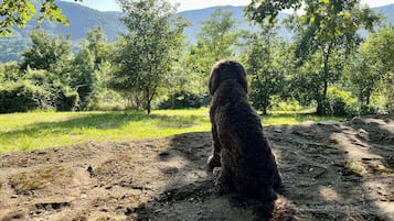 Parco della struttura