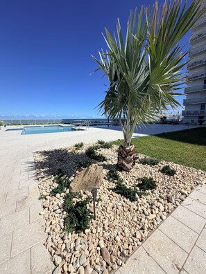 A pool area with a palm tree, a stone pathway, and a view of the sea. - Spacious, updated 1 bed/1 bath condo with gorgeous ocean views (Daytona Beach)