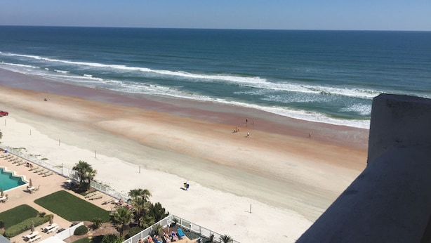 A beach with a pool area, palm trees, and a clear view of the ocean. - Spacious, updated 1 bed/1 bath condo with gorgeous ocean views (Daytona Beach)