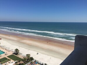 Une plage avec un espace piscine, des palmiers et une vue dégagée sur l’océan.