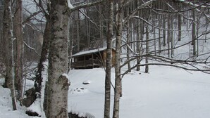 A cabin in a snowy forest with a stream running through. -  Romantic Log Cabin On Creek And 100 Acres, Hot Tub, Wifi, Gas Grill, Hiking (Hot Springs)