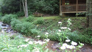 A cabin with a porch, surrounded by dense forest and a stream. -  Romantic Log Cabin On Creek And 100 Acres, Hot Tub, Wifi, Gas Grill, Hiking (Hot Springs)
