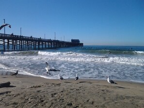 Beach nearby, sun loungers, beach towels