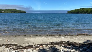 Una playa con agua tranquila, piedras y algas marinas.