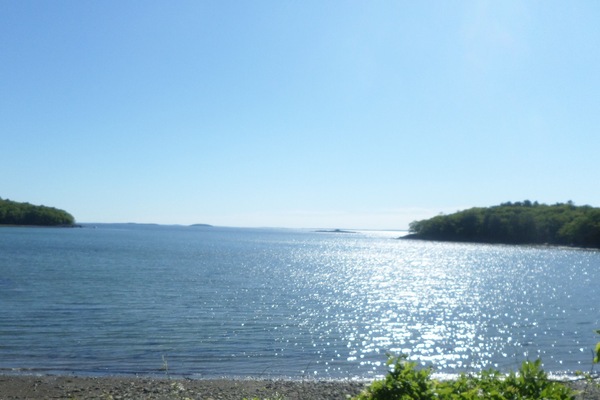 Sunny Morning On The Cove
