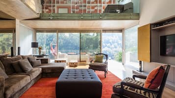 TV, DVD player, ping pong, books