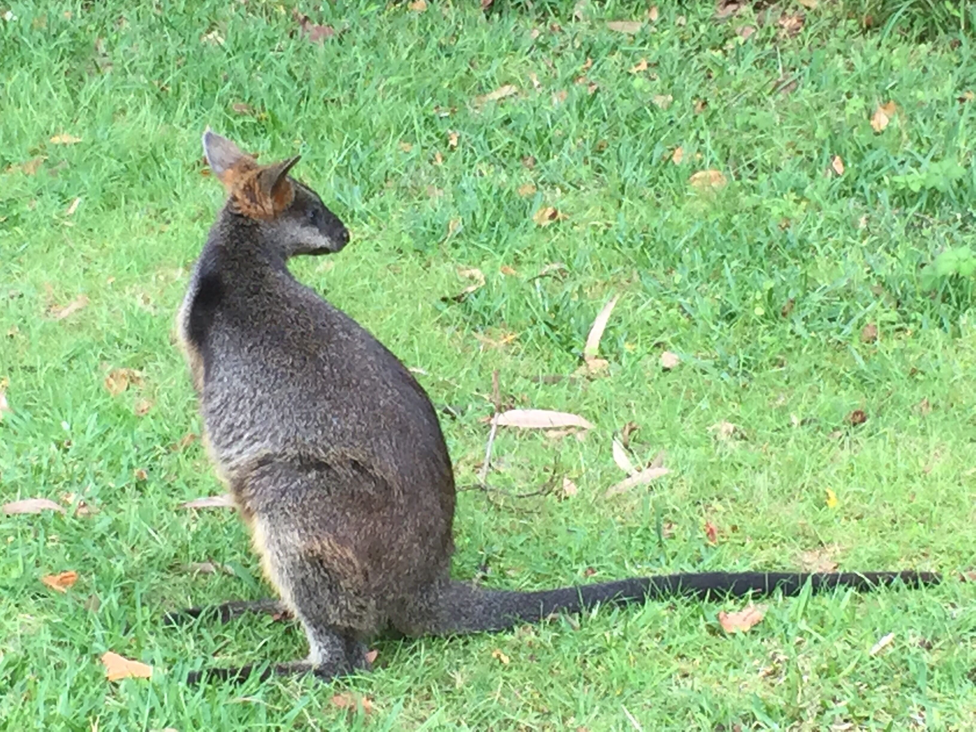 TenThirtyFour - located at Palm Beach — image 25