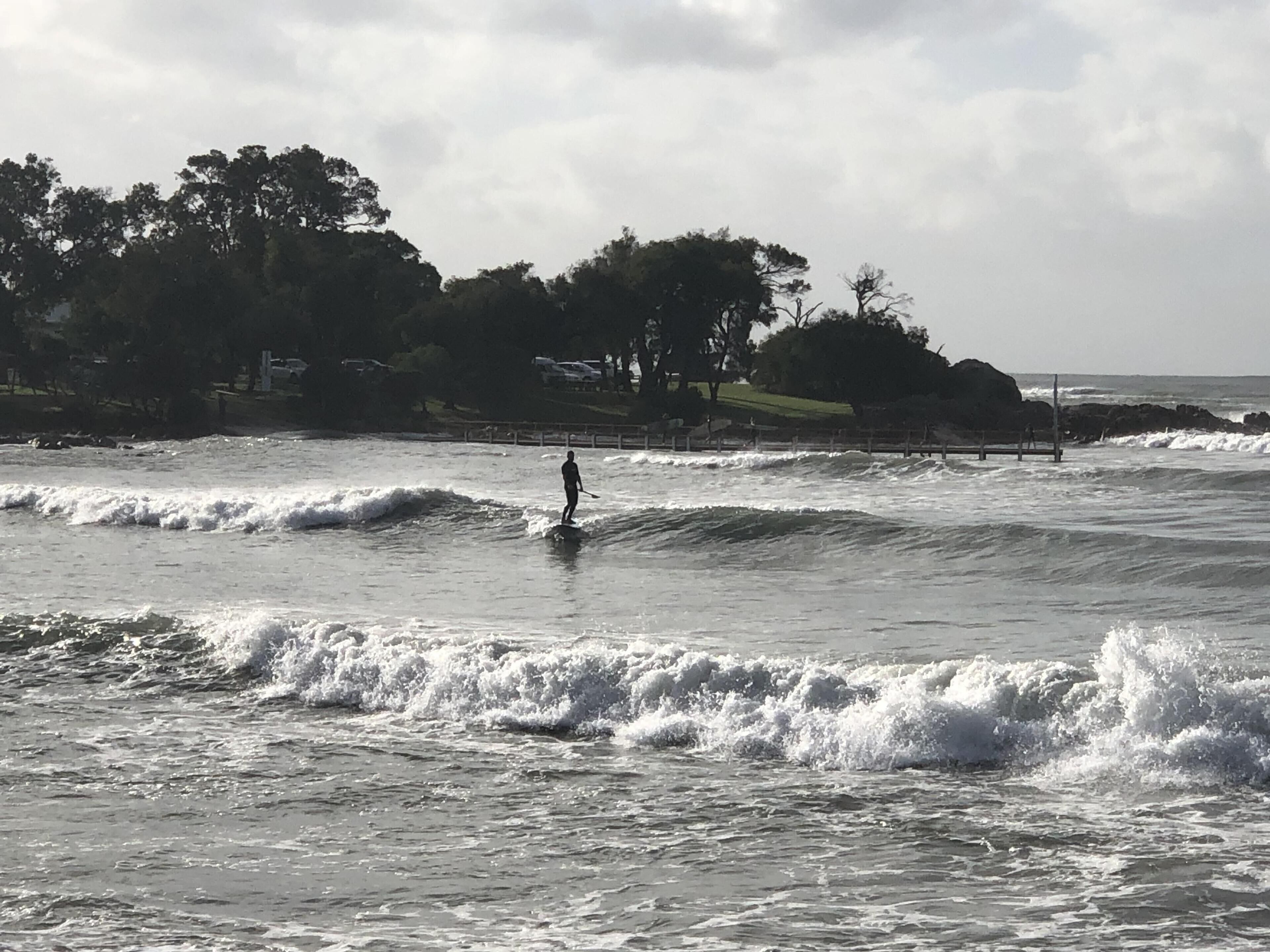 New Pet friendly  home & very close to dog beaches & Old Dunsborough bay — image 26