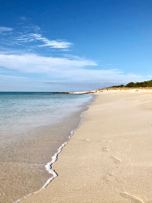 A beach with clear blue water and a sandy shore. - New Pet friendly  home & very close to dog beaches & Old Dunsborough bay (Dunsborough)
