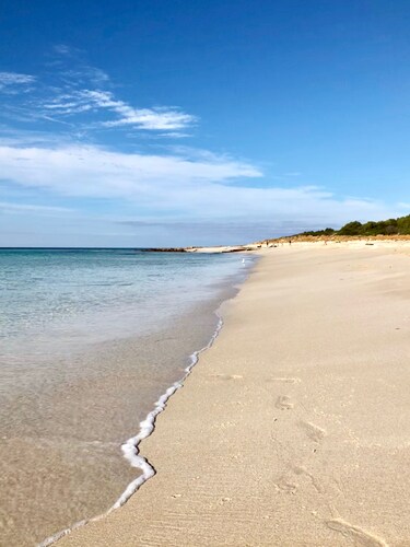 Uusi lemmikkieläinystävällinen koti ja hyvin lähellä koiran rantoja & Old Dunsborough -lahti