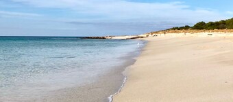 New Pet friendly home & very close to dog beaches & Old Dunsborough bay