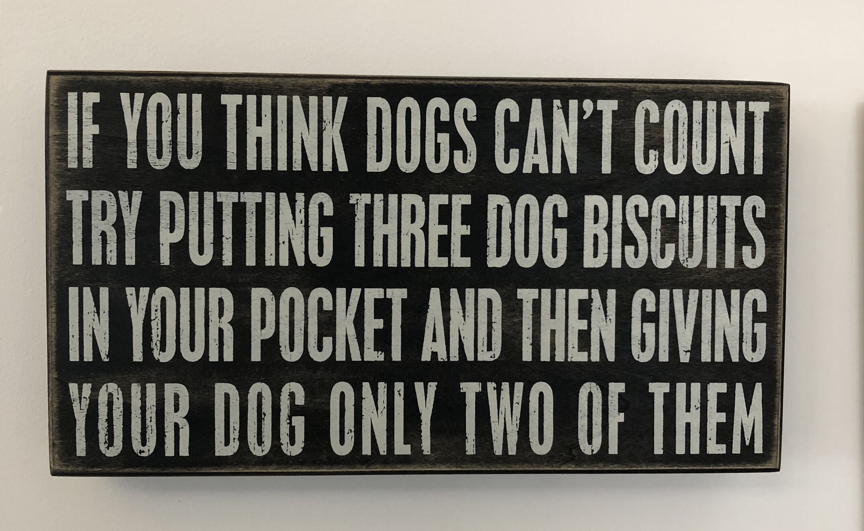 New Pet friendly  home & very close to dog beaches & Old Dunsborough bay — image 5