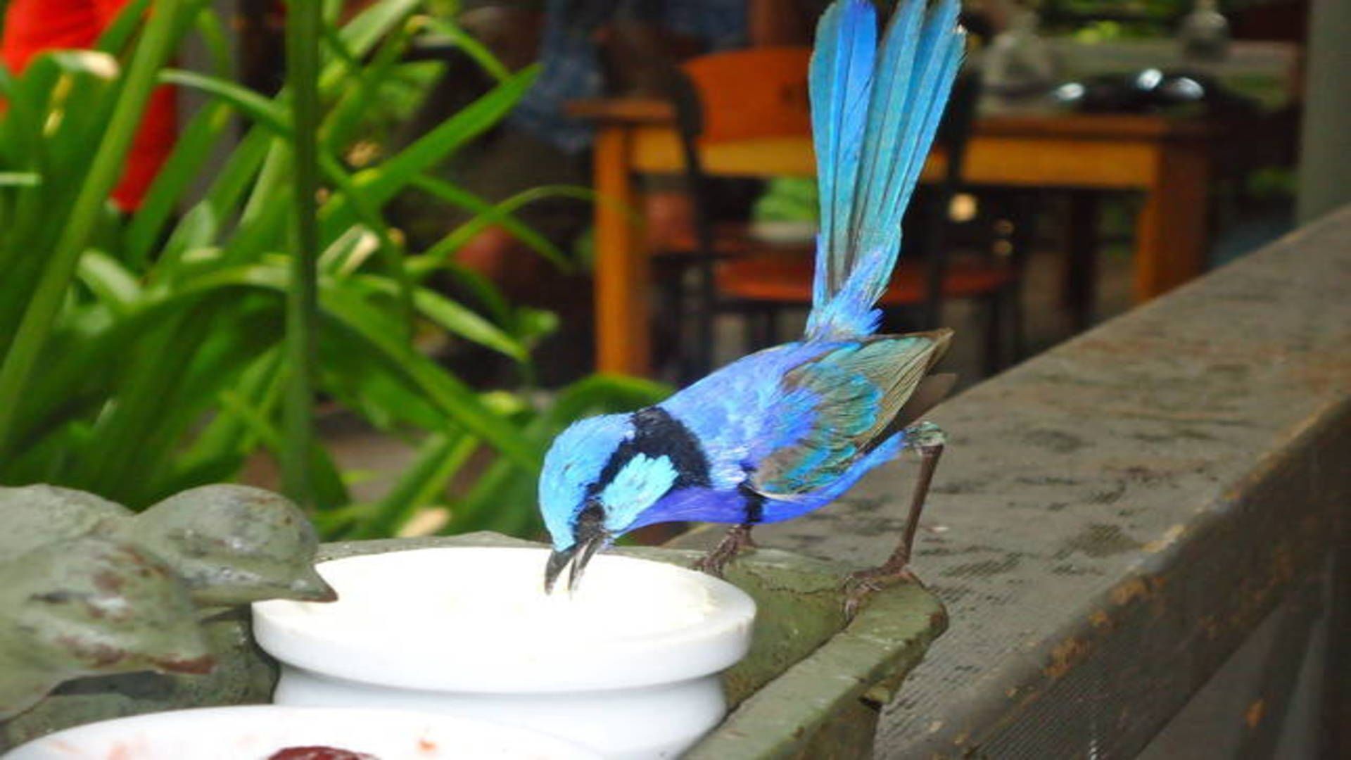 Bushey Heath - A Walk To Town Bush Retreat  — image 21