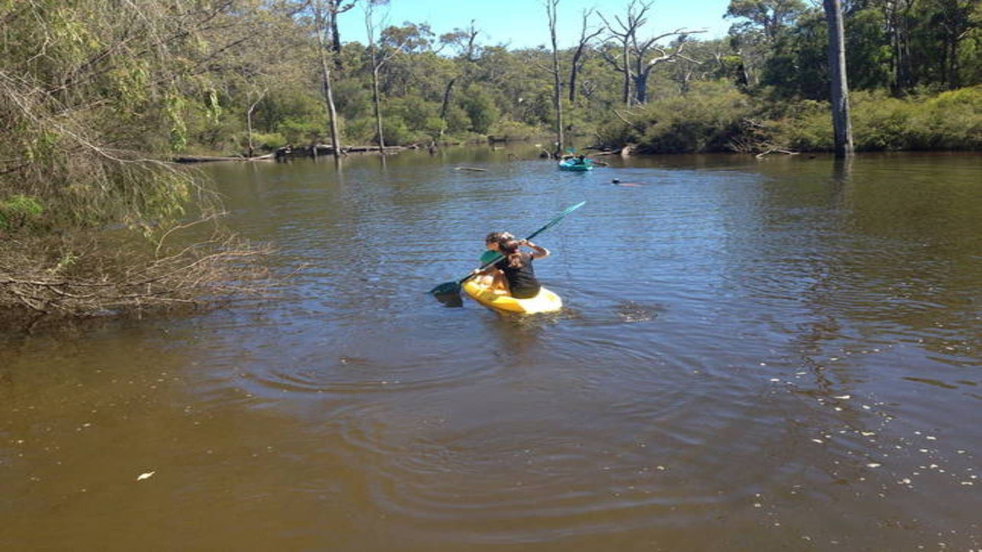 Bushey Heath - A Walk To Town Bush Retreat  — image 5