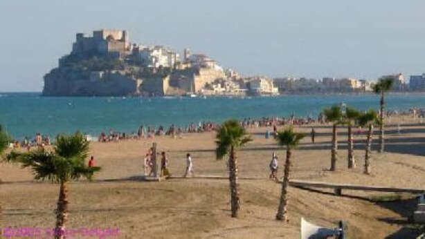 Een strand met palmbomen en een kasteelachtige structuur op de achtergrond.