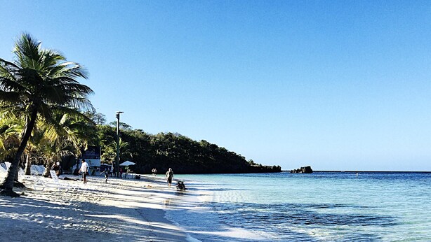 A beach with white sand, palm trees, and clear blue water. - Located among the woods on a “country“ road leading West Bay Beach (Roatan)