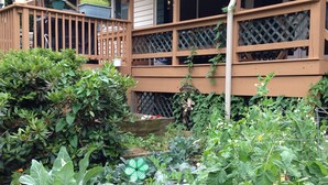 Uma casa com um deck de madeira, um jardim com diversas plantas e flores, e um design de janela em treliça.