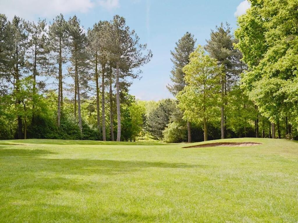 A well-maintained grassy area with tall trees and a clear sky.