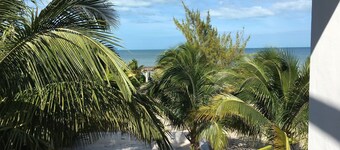 Beautiful Villa on the beach with swimming pool. 3 Bedrooms and 3 Bathrooms.