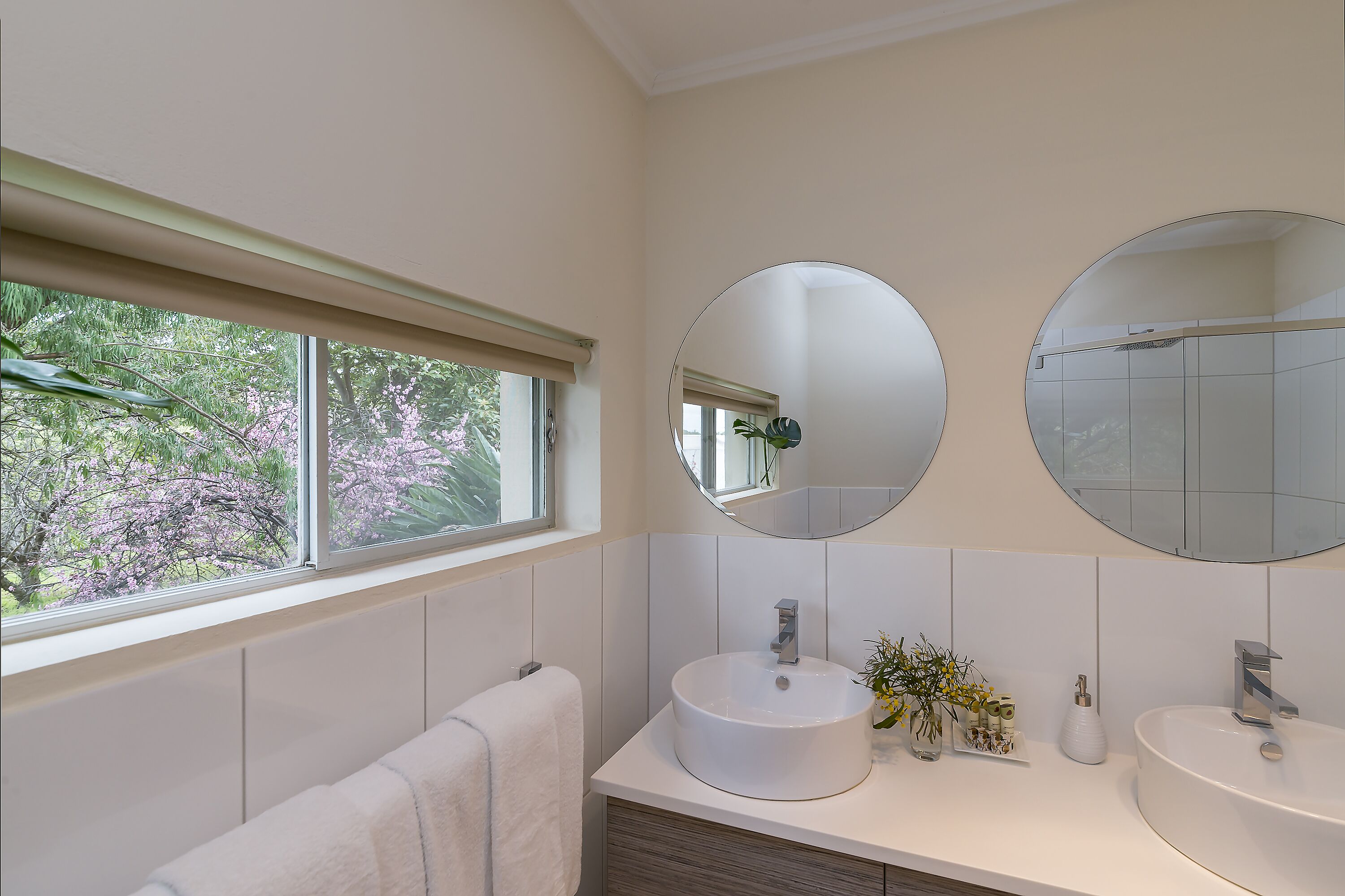 Barossa Idyll- Accommodation for Groups — image 9