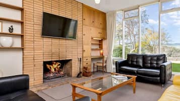 Smart TV, chimenea y reproductor de DVD