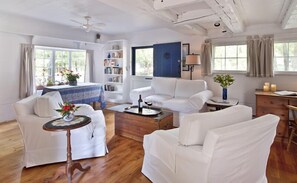 TV, DVD player, books, video library