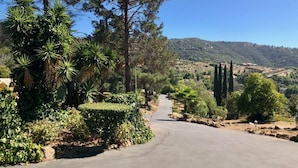 Une route asphaltée bordée d’une végétation luxuriante et d’arbres, qui mène vers un paysage vallonné.