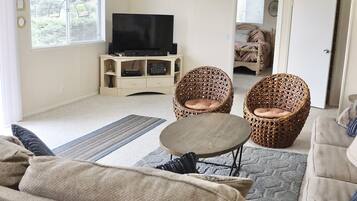 TV, DVD player, books, video library