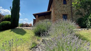 A stone building with a sloped roof, surrounded by a well-maintained garden with lavender plants and a tall coniferous tree.